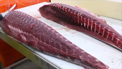 هذا الصباح- هل سمعت باليوم العالمي لسمكة التونة؟