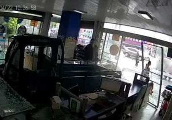 Download Video: Dog Drives Truck and Crashes Into Store in China