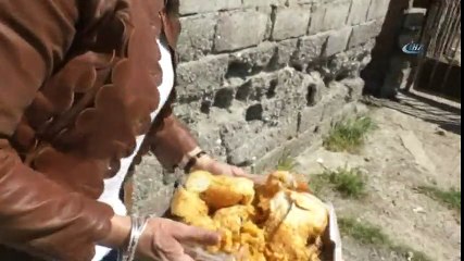 Kendini Sokak Hayvanlarına Adadı