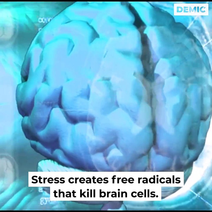 When you're stressed, What happens to your brain? Futusion | DIMIC | Future Vision | BRIGHT SIDE  | BuzzFeedVideo | 5-Minute Crafts | 7-Second Riddles | Natural Cures | Home Remedies for Health | Natural Life Hacks | Natural Ways | Life Hacks |