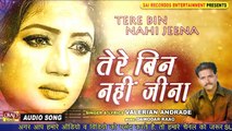 Tere Bin Nahi Jeena - सबसे दर्द भरा गीत - HINDI SAD SONGS - SAI RECORDDS