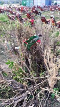 مینار پاکستان لاہور میں عمران خان کے جلسے کے بعد کارکنوں نے پارک کی خوبصورتی تباہ کردی، مہنگے پودے اور پارک کی لائٹس بھی توڑ دیں، آپ بھی براہ راست دیکھئے