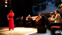 Animation ,Spectacles flamenco: Grito Flamenco