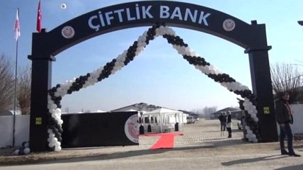 Çiftlik Bank Soruşturmasında Bulgaristan'da Yakalanan Düzgün Genç, Türkiye'ye İade Edildi