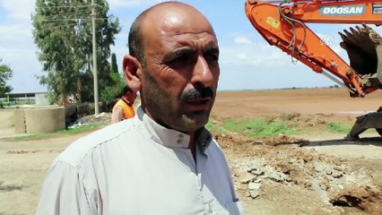 Sağanak tarım alanlarını etkiledi - ŞANLIURFA