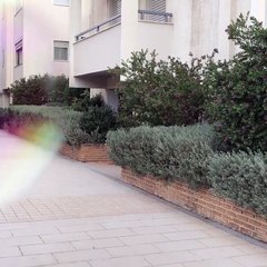 Ο Αρναούτογλου παίζει με τον γιο του