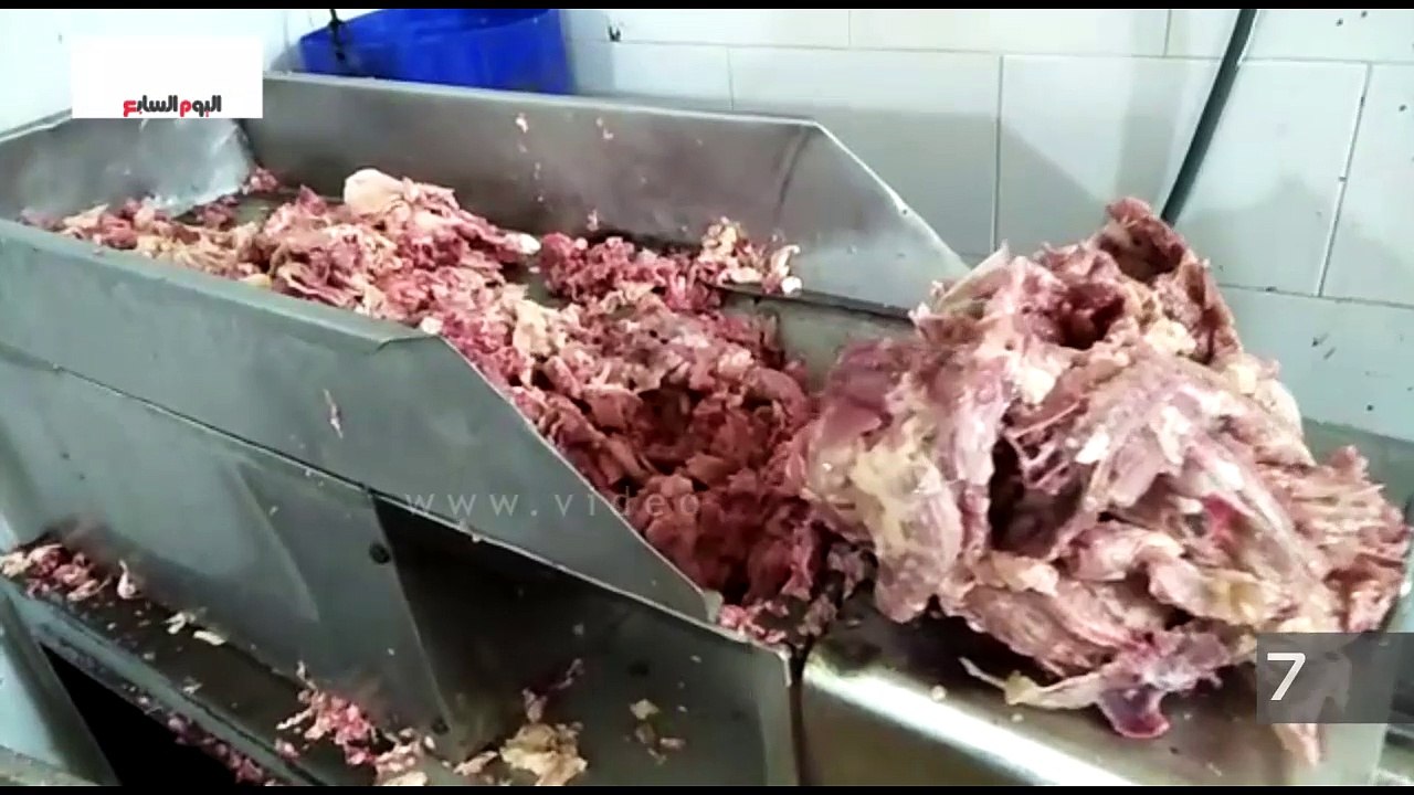 مباحث التموين تضبط ربع طن هياكل دواجن فاسدة بال...
