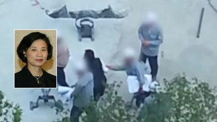 "이명희도 처벌하라"...'벼랑 끝' 대한항공 총수 일가 / YTN