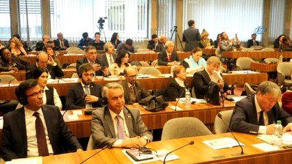 - Uluslararası Türk Akademisi'nden UNESCO'da 'Kaybolan Türk Dilleri' forumu