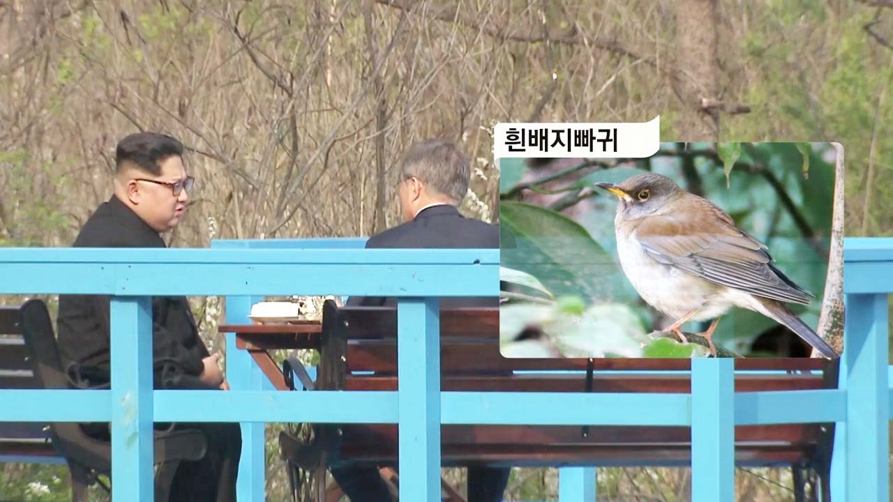 도보 다리 회담의 숨은 조연...새소리 주인공은? / YTN
