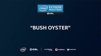 Do Pros Know These Aussie Terms? 🇦🇺