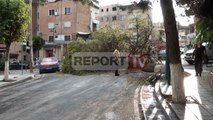 Report TV - Shiu rrëzon pemët në Sarandë disa lagje pa energji elektrike