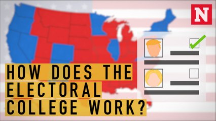 How The Electoral College Works - In 60 Seconds