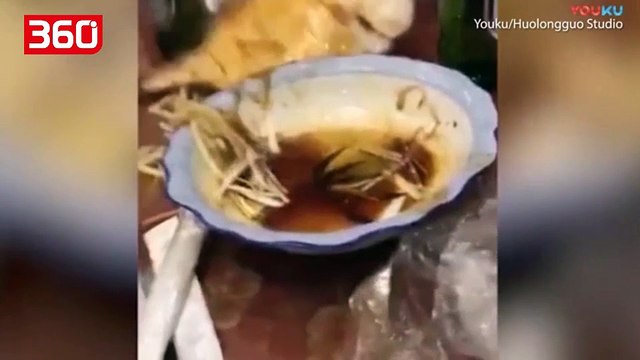 Shikoni momentin kur peshku i gatuar në pjatë kërcen mbi tavolinë, klientët të shokuar (360video)