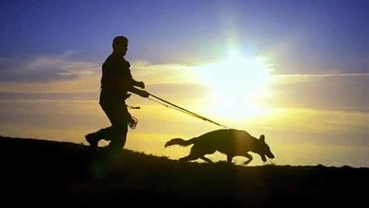 Dog Squad S09E03