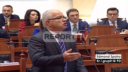 Report TV - Prezantimi i programit, PD-LSI  debat për rregulloren në Kuvend