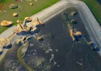 At Least a Dozen Sinkholes Open in Florida Neighborhood