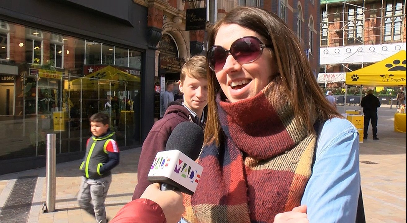 Does Money make you happy ?