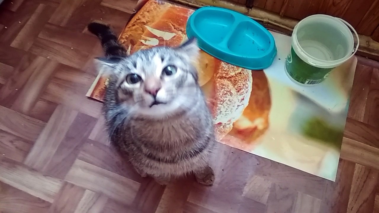 So I want to, that I even miauchu.