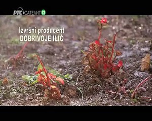 Neko me ipak ceka cd1