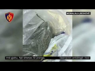 Descargar video: Ora News - Dy operacione antidrogë, sekuestrohen 81 kg kanabis