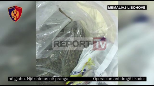 Report TV - Kapen 81 kg kanabis në Memaliaj e Gjirokastër, arrestohet 1 person