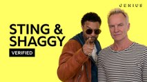 Sting & Shaggy Break Down 