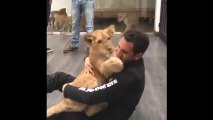 People And Animal Hugging Each Other With Love (heartwarming and touching video)
