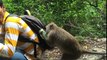 Wild Monkey Meet A Man and Ask water for Drink   Cute Animals Monkeys