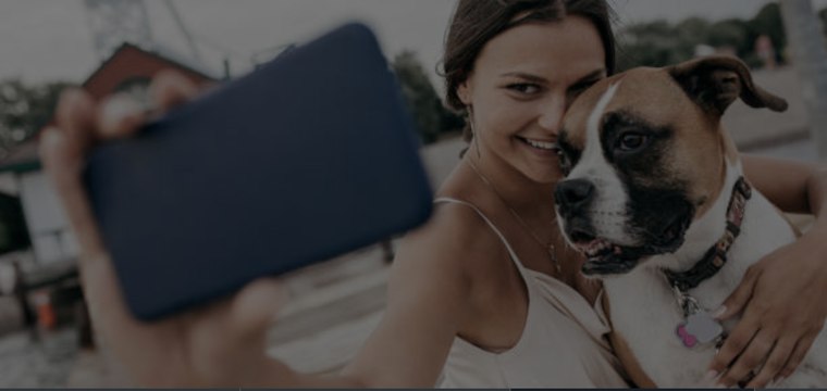 Des idées d'activités à faire avec votre chien : il va adorer !