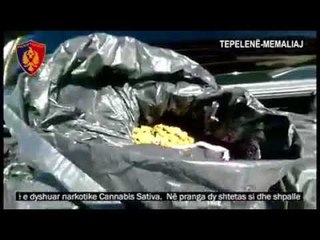 Ora News – Sekuestrohen 55 kg kanabis në dy operacione të ndryshme