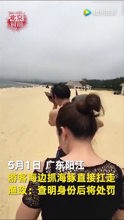 游客在广东抓到海豚直接扛走