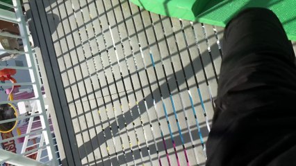 Green Thunder Cruise Ship Waterslide