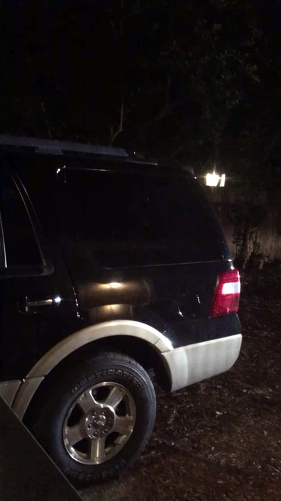 Bear Trapped Inside SUV