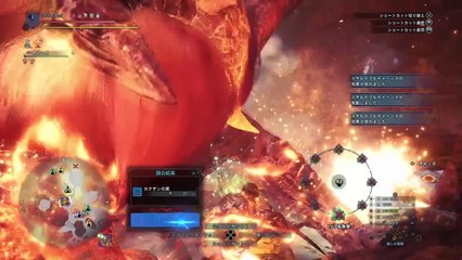 【MHW】歴戦テオ・テスカトルヘビィボウガン拡散弾01'46"65【モンハンワールド】