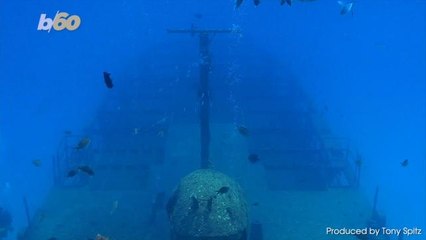 Beer From a 220-Year-Old Shipwreck Will Soon be Available to Drink