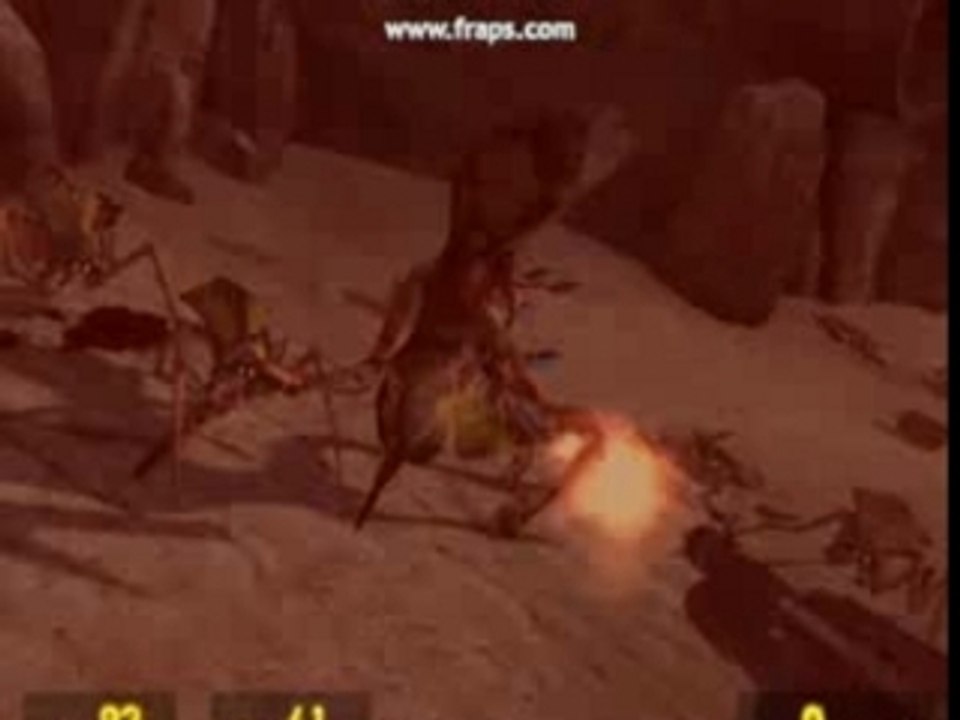 Half Life ²