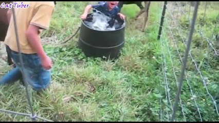 WHAT COULD GO WRONG! - Super FUNNY MOMENTS