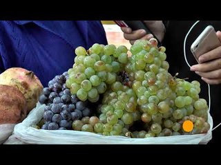 Report Tv - Rreze Dielli,  "Rrushi" E ftuar ne studio Albana Daka