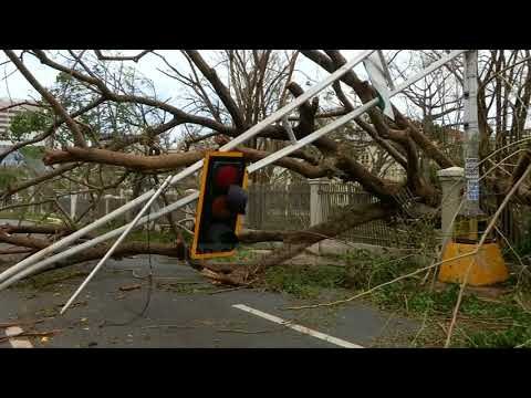Porto Riko lëshon alarmin, vijojnë evakuimet - Top Channel Albania - News - Lajme