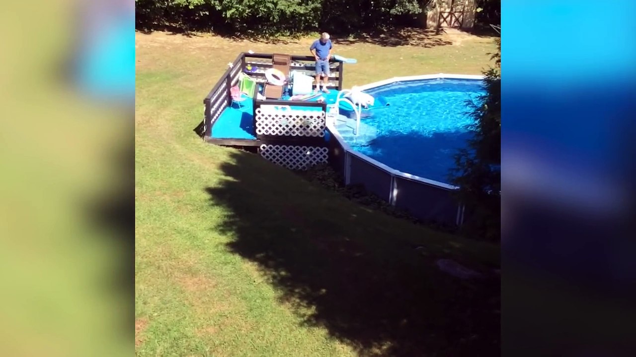 Small Pets with Big Attitudes! Ultimate Cute Baby Animals Compilation April 2018 - Funny Pet Videos