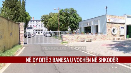 POLICIA ARRESTON AUTORËT E GRABITJEVE