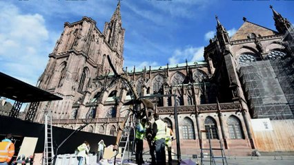 Strasbourg: un squelette de mammouth dressé devant la cathédrale