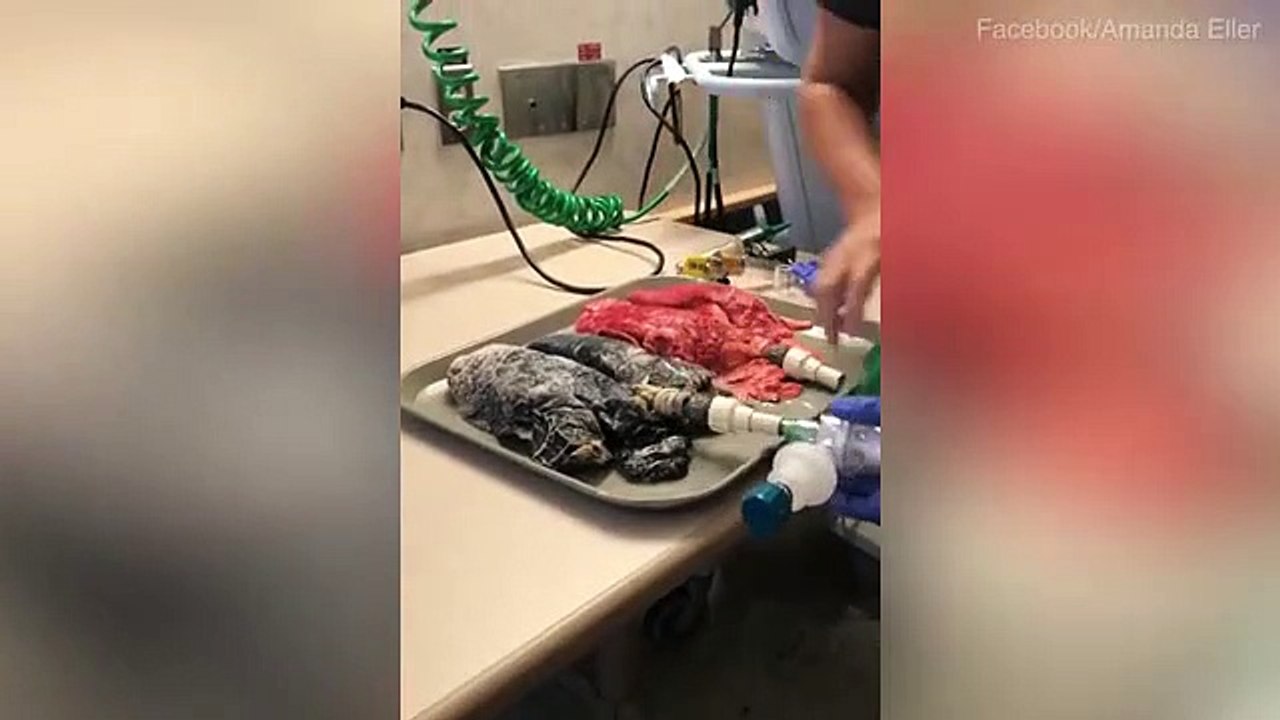 Pas kësaj videoje do e lini duhanin menjëherë