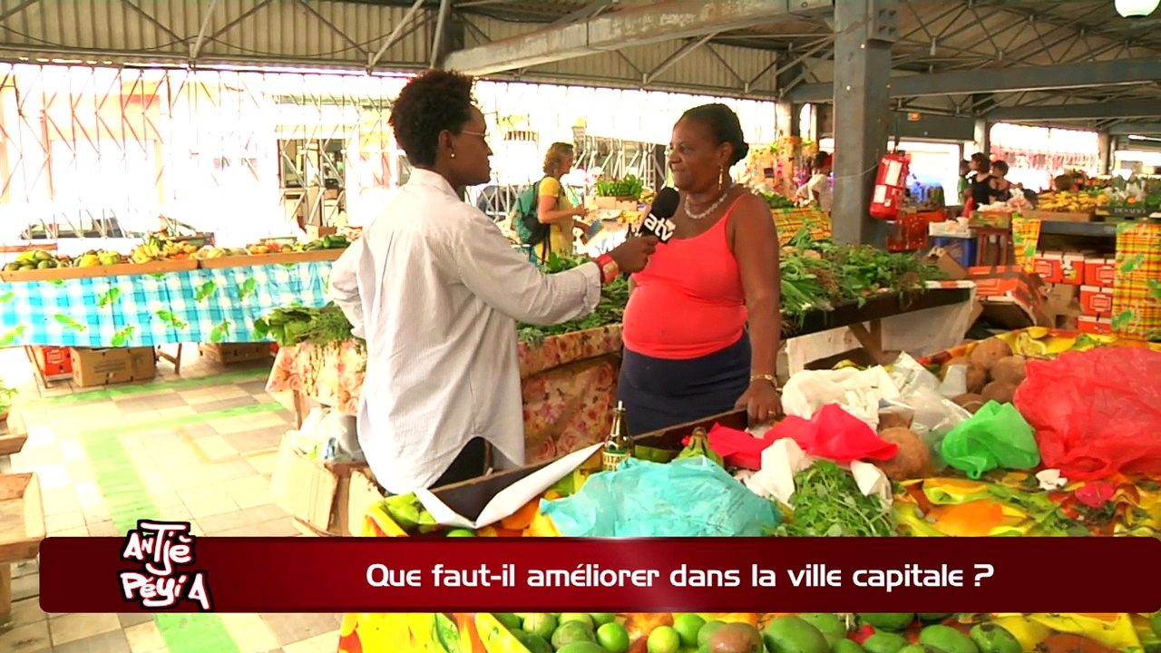 ATPA 03 05 08 AMELIORER LA CAPITALE JEAN MARC SALPETRIER OK
