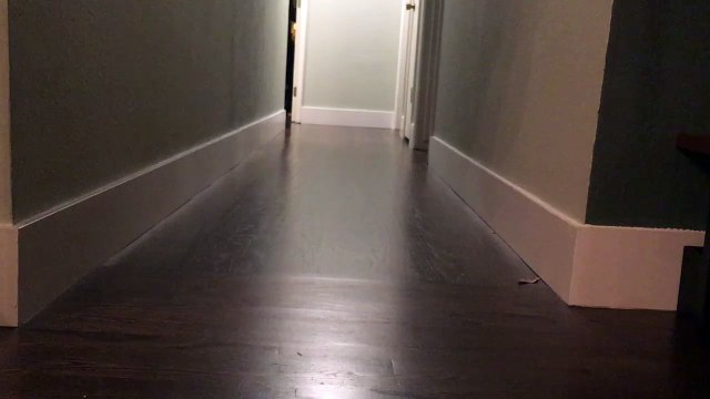 Case wipes out chasing the elusive red dot