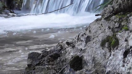 musica relajante / Relaxing music/