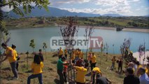 Report TV - Farkë, nis sezoni i ri i mbjelljeve Veliaj:Nisim punën për Pyllin Orbital