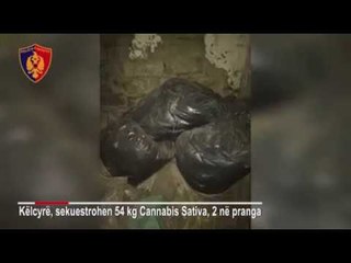 Ora News - Sekuestrohen 54 kg kanabis, dy të arrestuar në Këlcyrë
