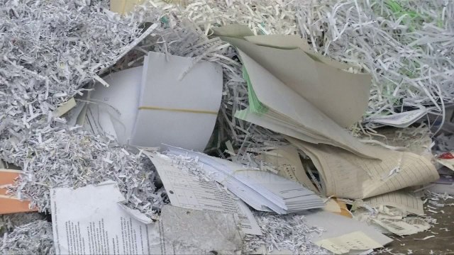 Kina bllokon importin, Hong Kongu pushtohet nga plehrat - Top Channel Albania - News - Lajme